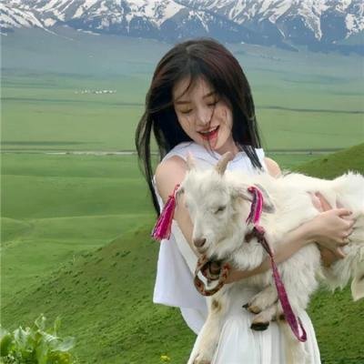 何处寻真相